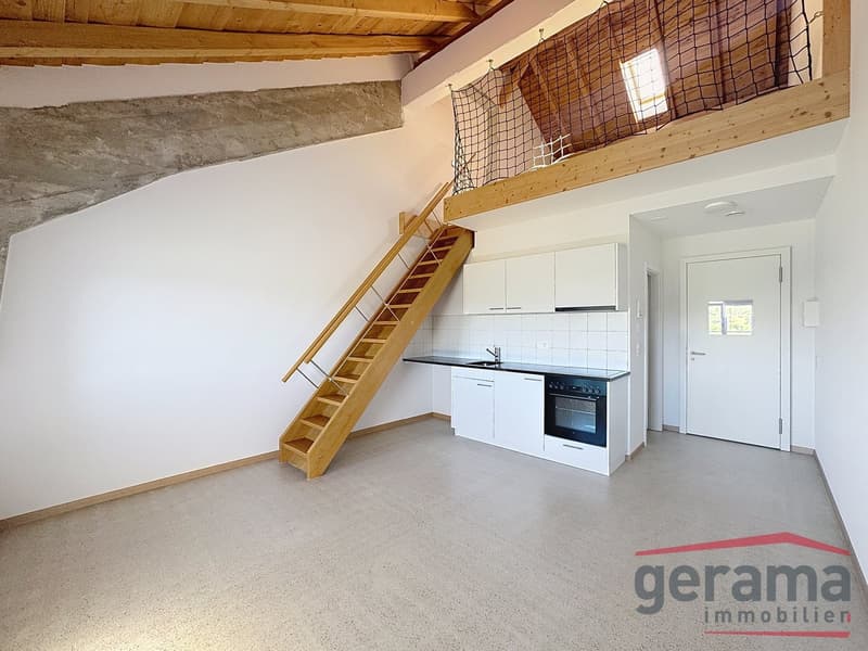 Helles 1.5-Zimmer-Wohnung im 4. Stock (1)