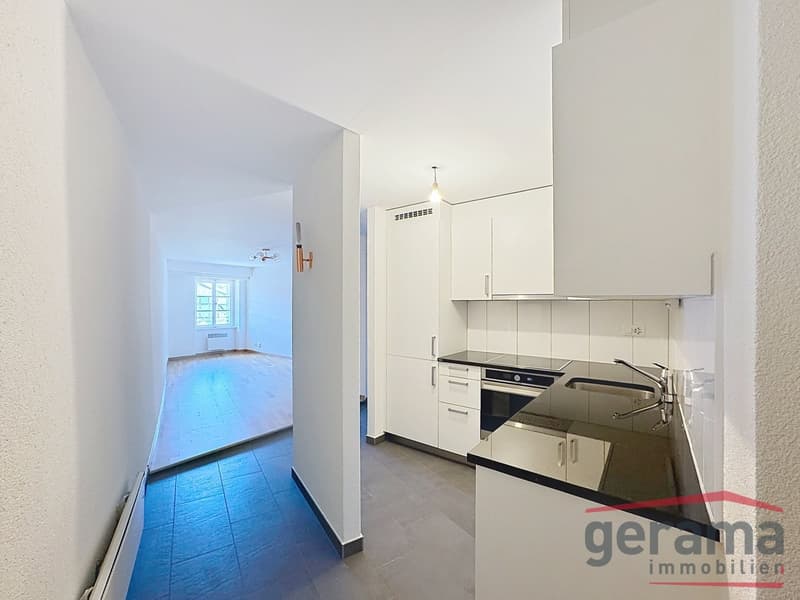 Logement lumineux 3.5 pièces en vieille ville (2)