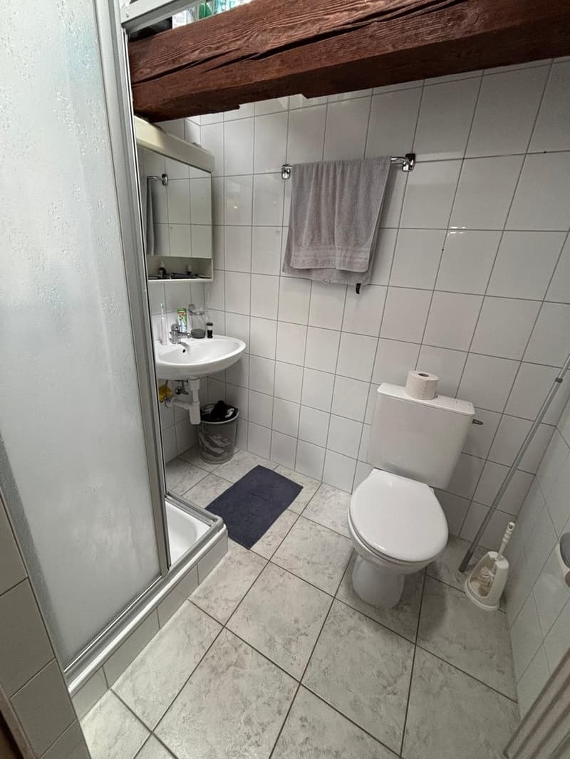 Appartement 2.5 pièces au centre de Fribourg ! (3)