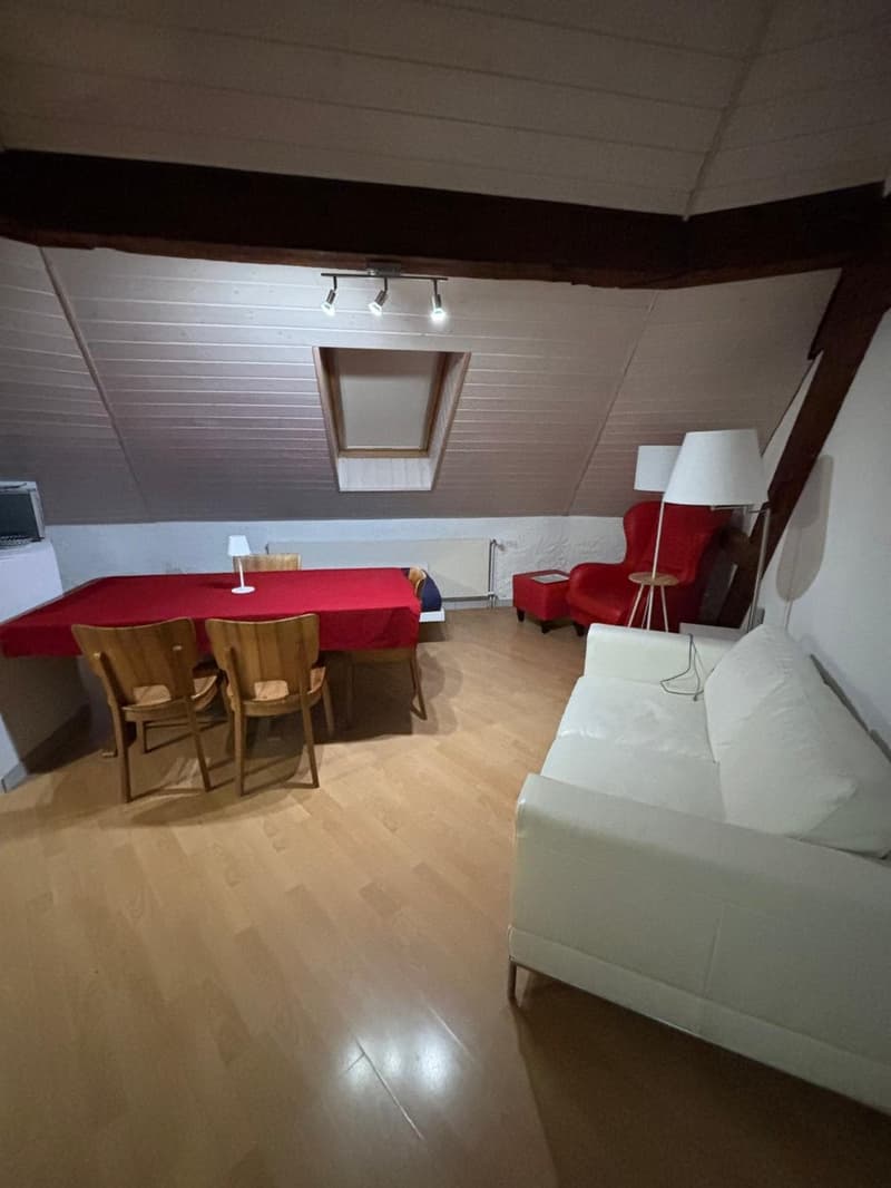 Appartement 2.5 pièces au centre de Fribourg ! (2)
