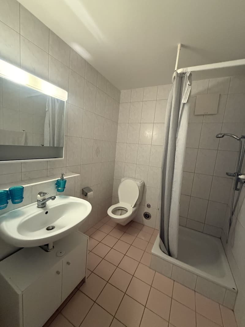 Helle 2.5 Zimmer-Wohnung in Alterswil (3)