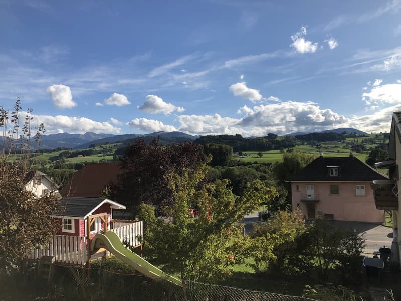 Helle 2.5 Zimmer-Wohnung in Alterswil (8)