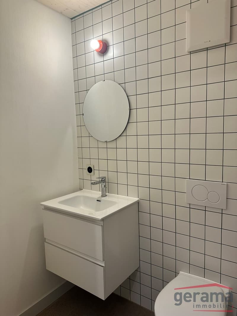 Charmante villa duplex de 3.5 pièces à louer (4)
