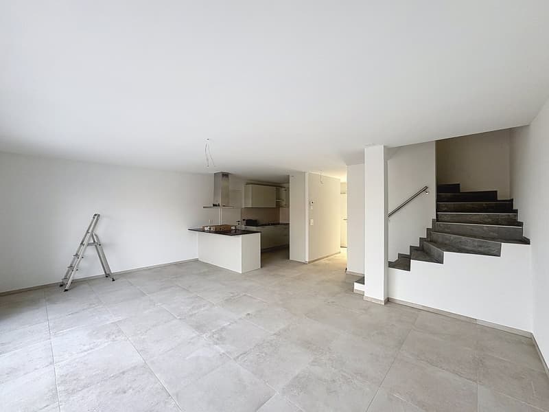 Magnifique villa à Nuvilly (1)