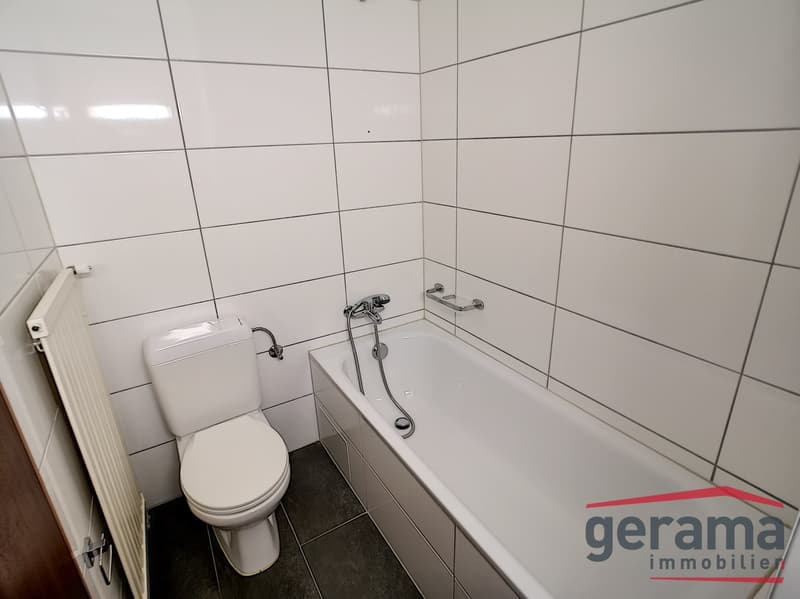 Zweieinhalbzimmernwohnung (4)