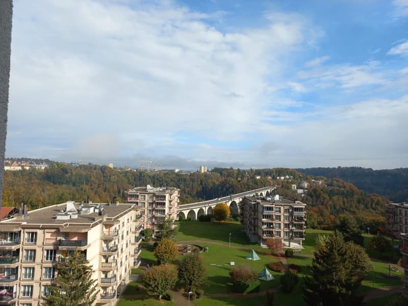 Wohnung mit Aussicht 2,5 Zimmer im 10. Stock (6)