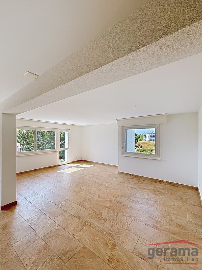 Charmant appartement de 5.5 pièces (2)
