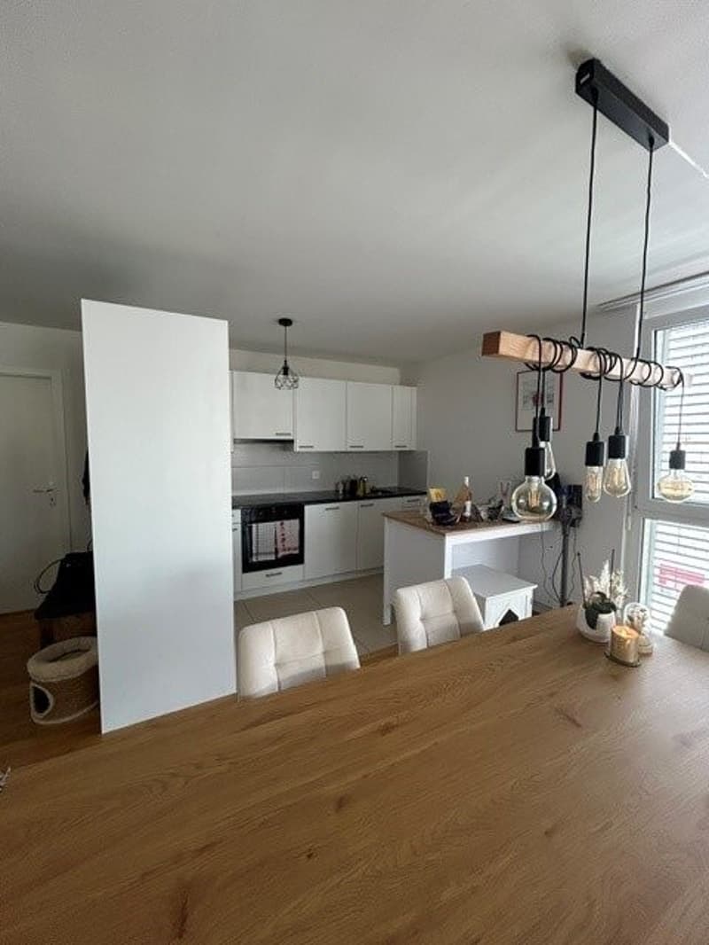 Appartement de 2.5 pièces spacieux à louer (2)