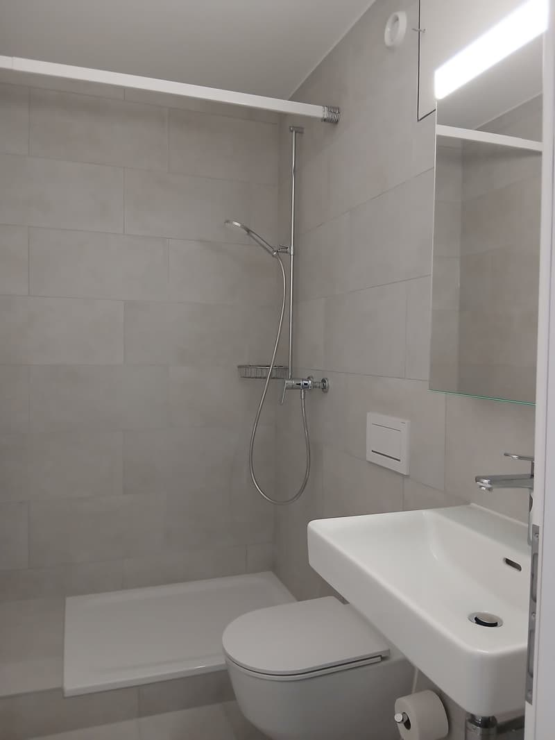 Spacieux 2.5 pièces quartier Beaumont (4)
