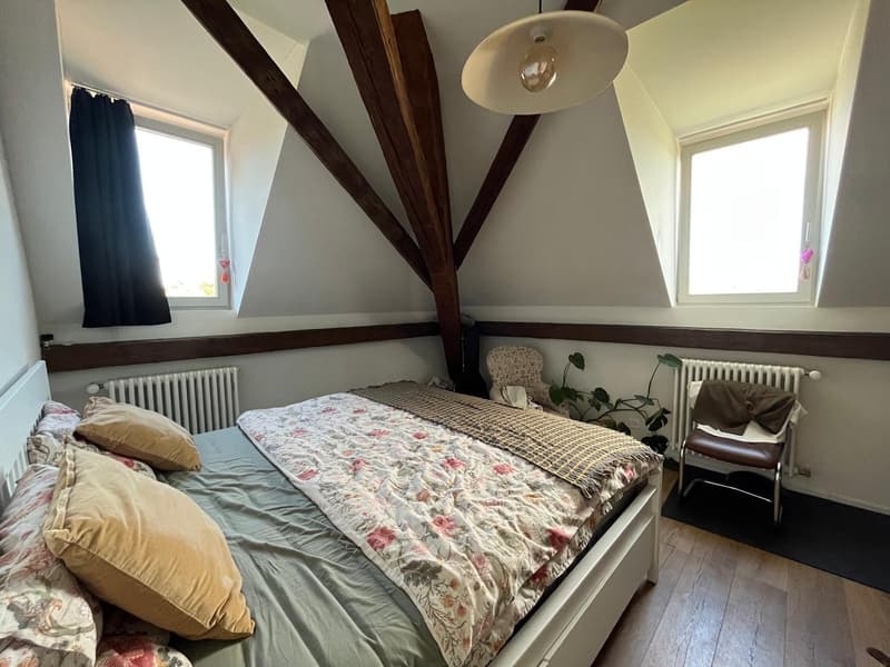 Magnifique appartement 2.5 pièces dans les combles (3)