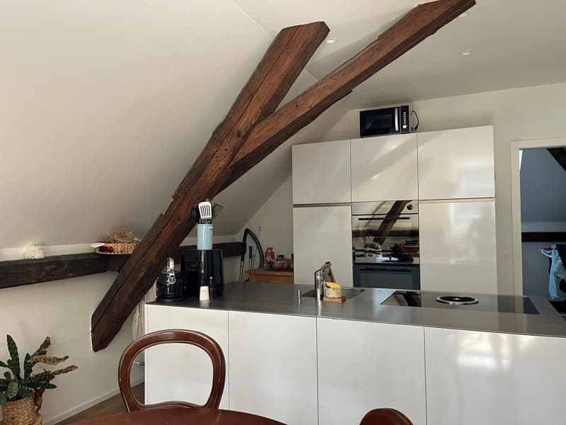 Magnifique appartement 2.5 pièces dans les combles (1)