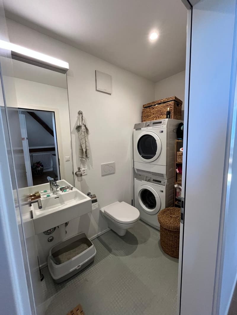 Magnifique appartement 2.5 pièces dans les combles (4)
