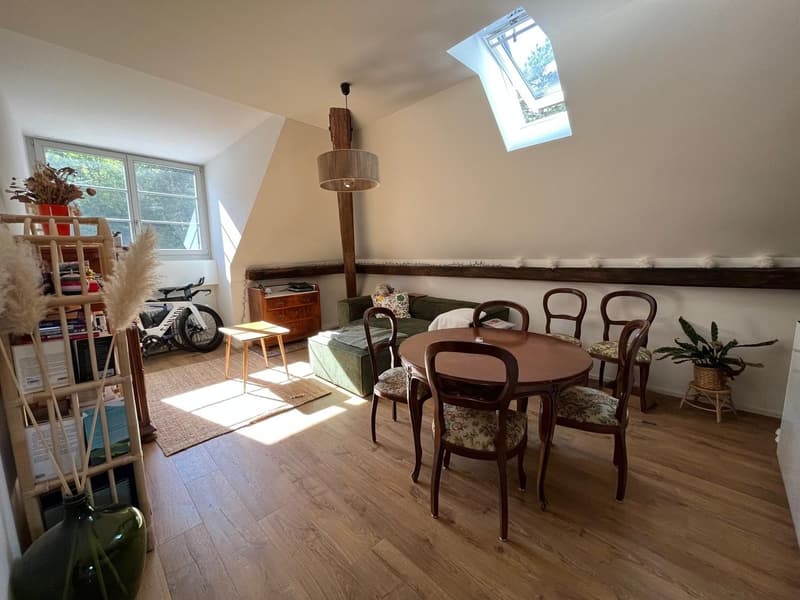 Magnifique appartement 2.5 pièces dans les combles (2)