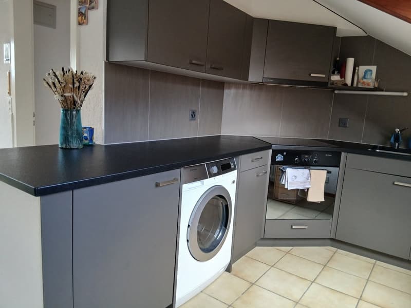 Charmant appartement de 2.5 pièces à Fribourg (1)