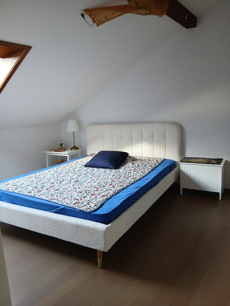 Charmant appartement de 2.5 pièces à Fribourg (3)