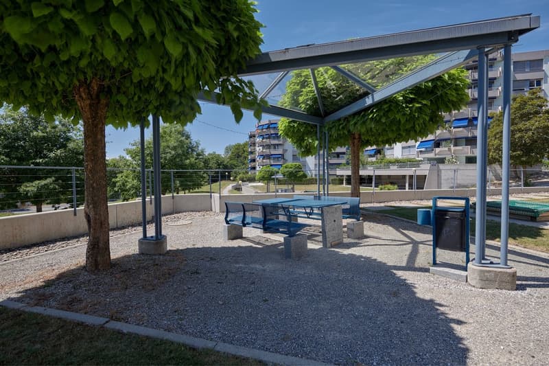Appartement spacieux de 4,5 pièces de 113m2 (9)