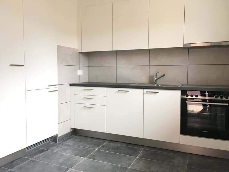 Appartement 4.5 pièces à St Maurice ! (1)