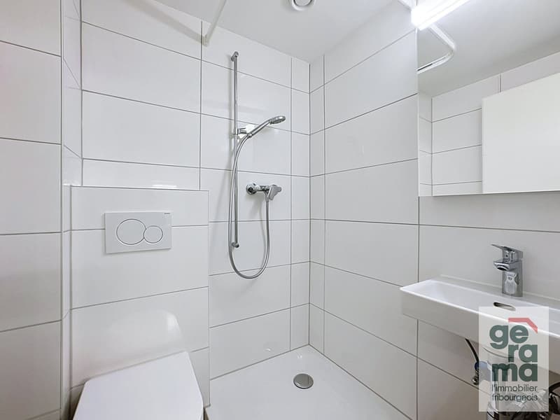 Studio rénové dans la Basse-Ville de Fribourg (3)