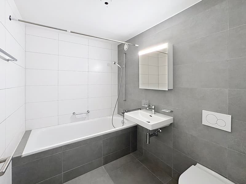 Bel appartement de 3.5 pièces au 10ème étage (3)