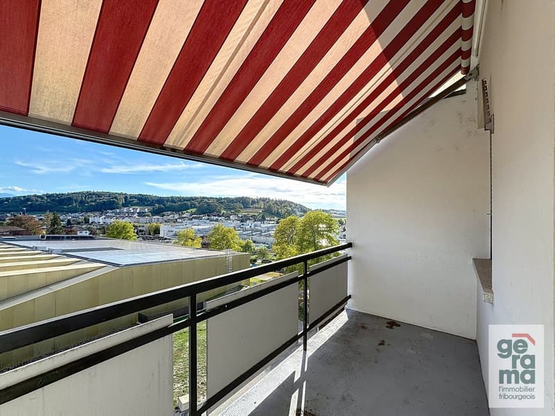 Magnifique appartement de 2.5 pièces rénové (5)
