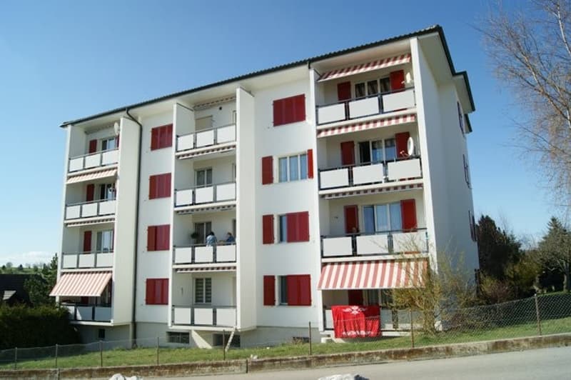Magnifique appartement de 2.5 pièces rénové (7)