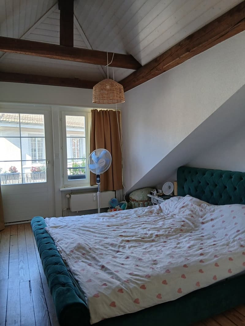 Splendide 2.5 pces en duplex au coeur de la ville (2)