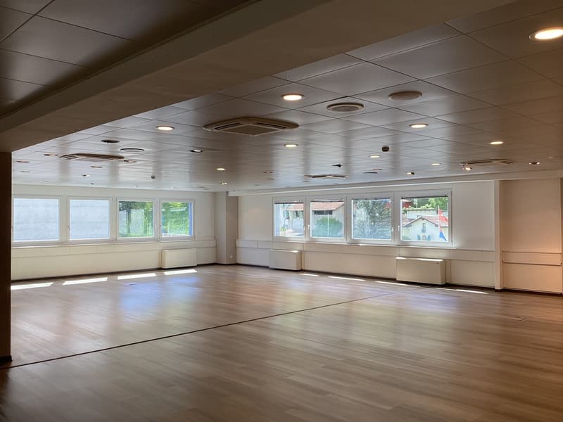 Bureau 310 m² à Manno (4)