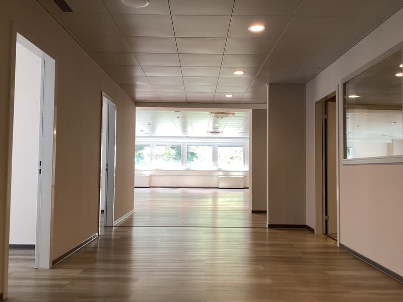 Bureau 310 m² à Manno (6)