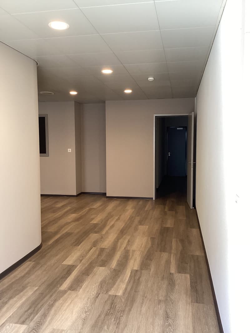 Büro 310 m² in Manno (8)