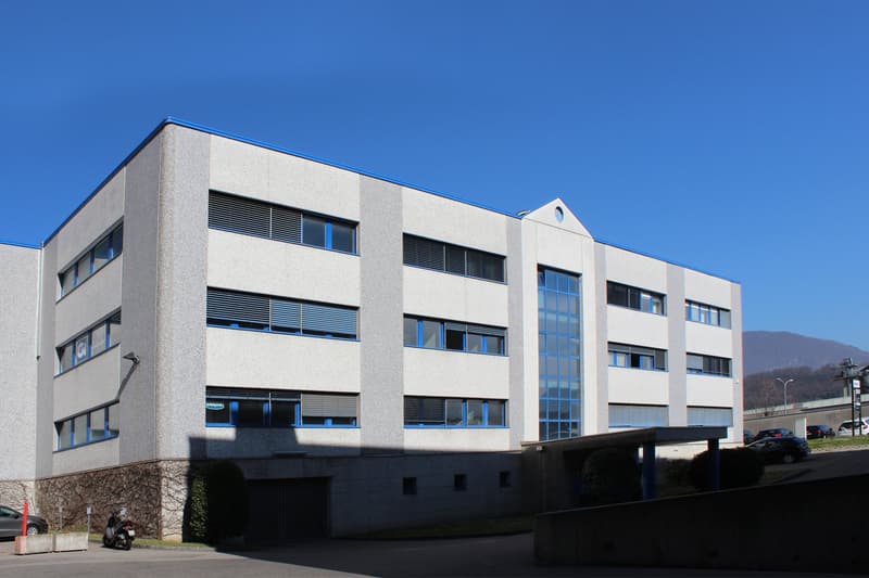 Büro 310 m² in Manno (1)