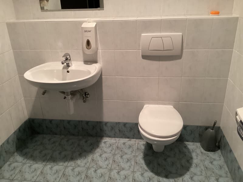 Büro 310 m² in Manno (7)