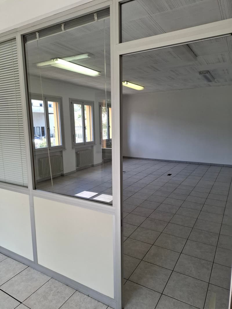 Large empty room, square tiles, glass walls, windows, ceiling lights