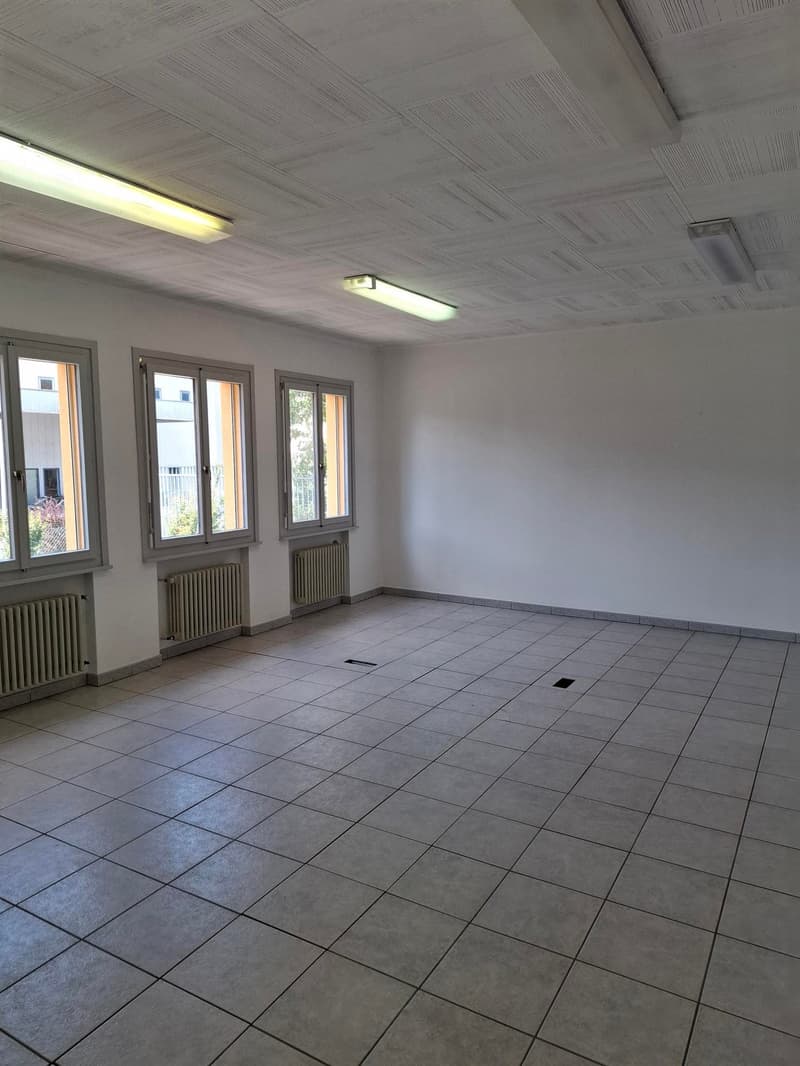 large room, white walls, white ceiling, three windows, two white radiators, fluorescent ceiling lights
