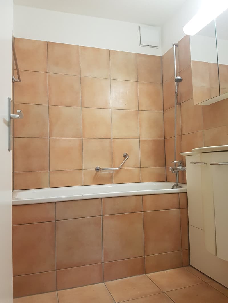 3-Bedroom Cooperative Apartment (4)