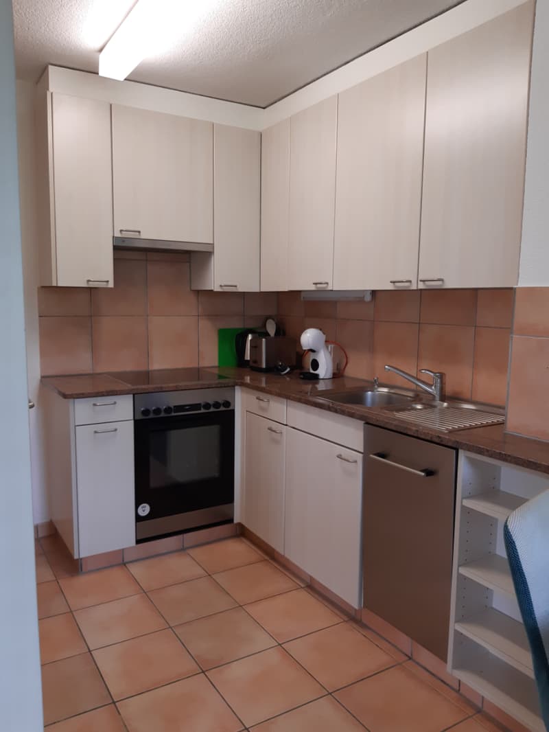 3-Bedroom Cooperative Apartment (5)