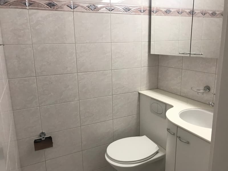 Appartamento di 3.5 locali (8)