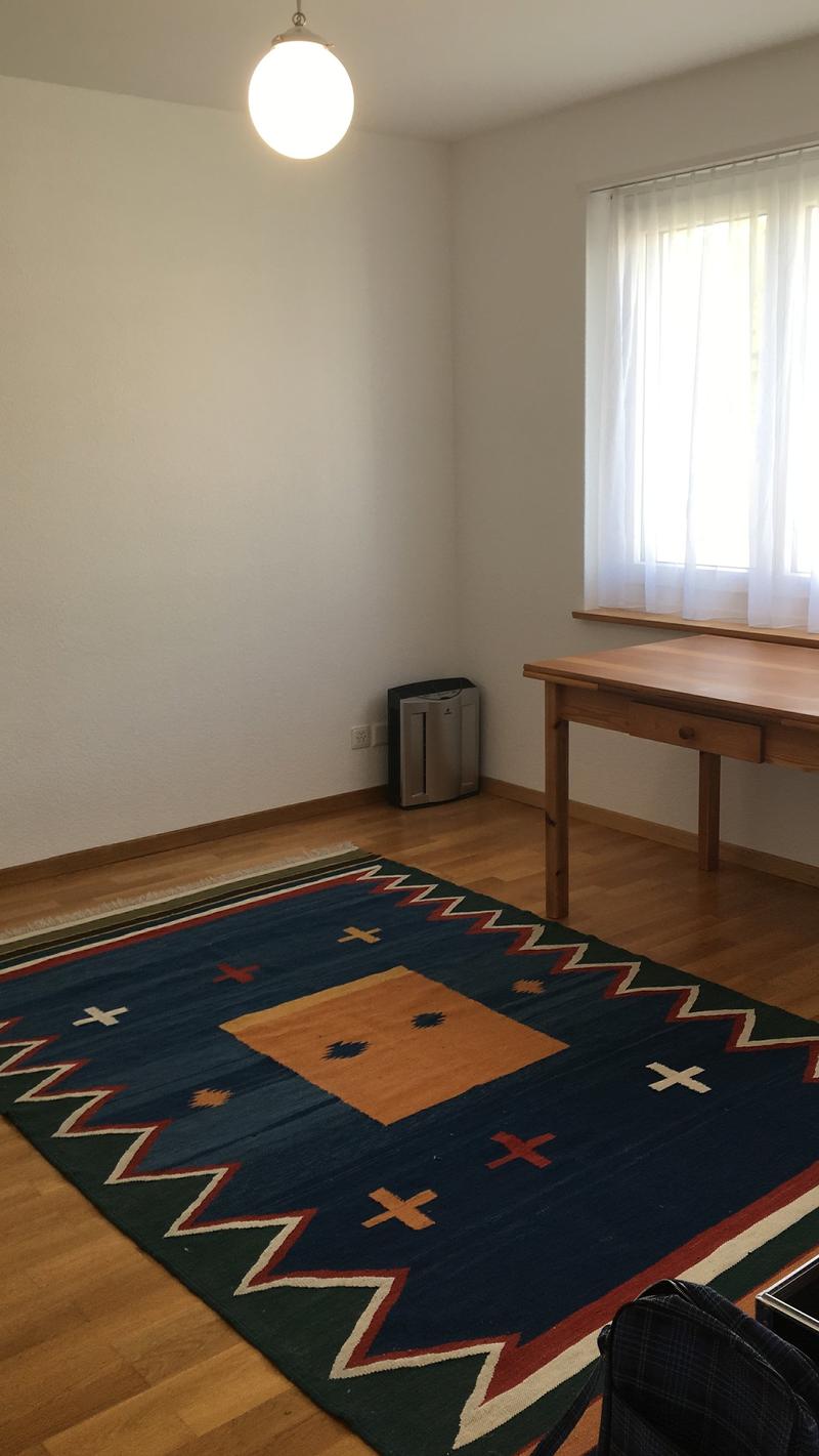 Appartamento di 3.5 locali (6)