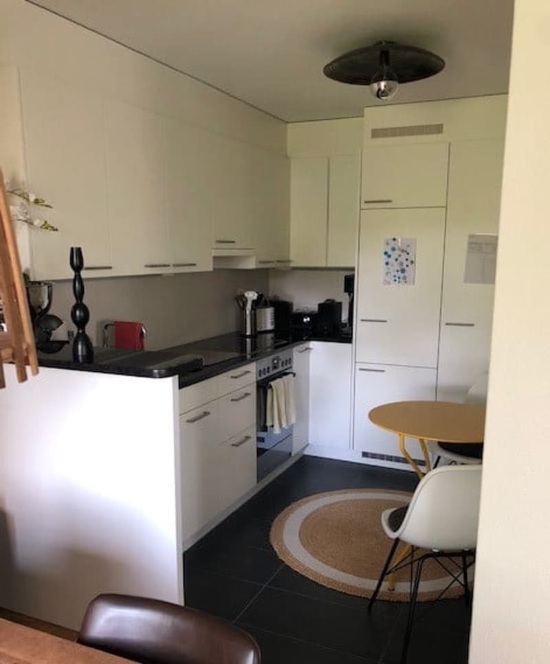 Appartement en copropriété de 2,5 pièces (3)