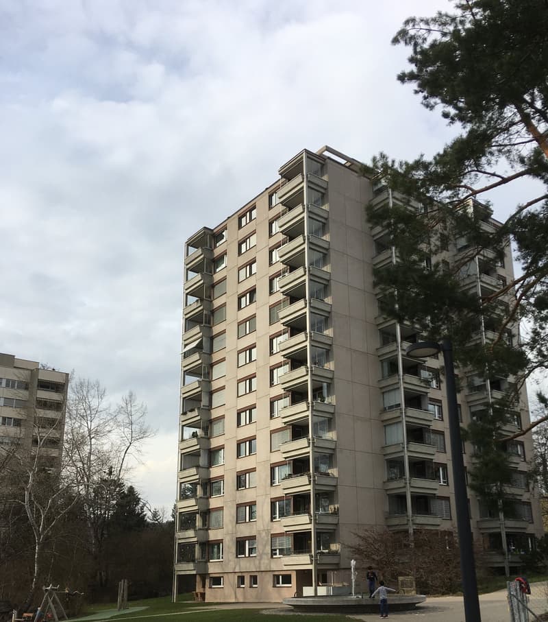 Appartement en copropriété de 2,5 pièces (2)
