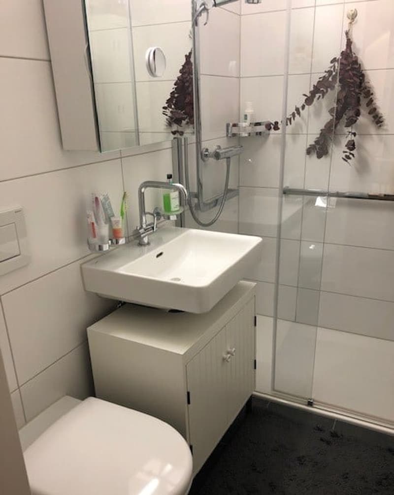 Appartement en copropriété de 2,5 pièces (7)