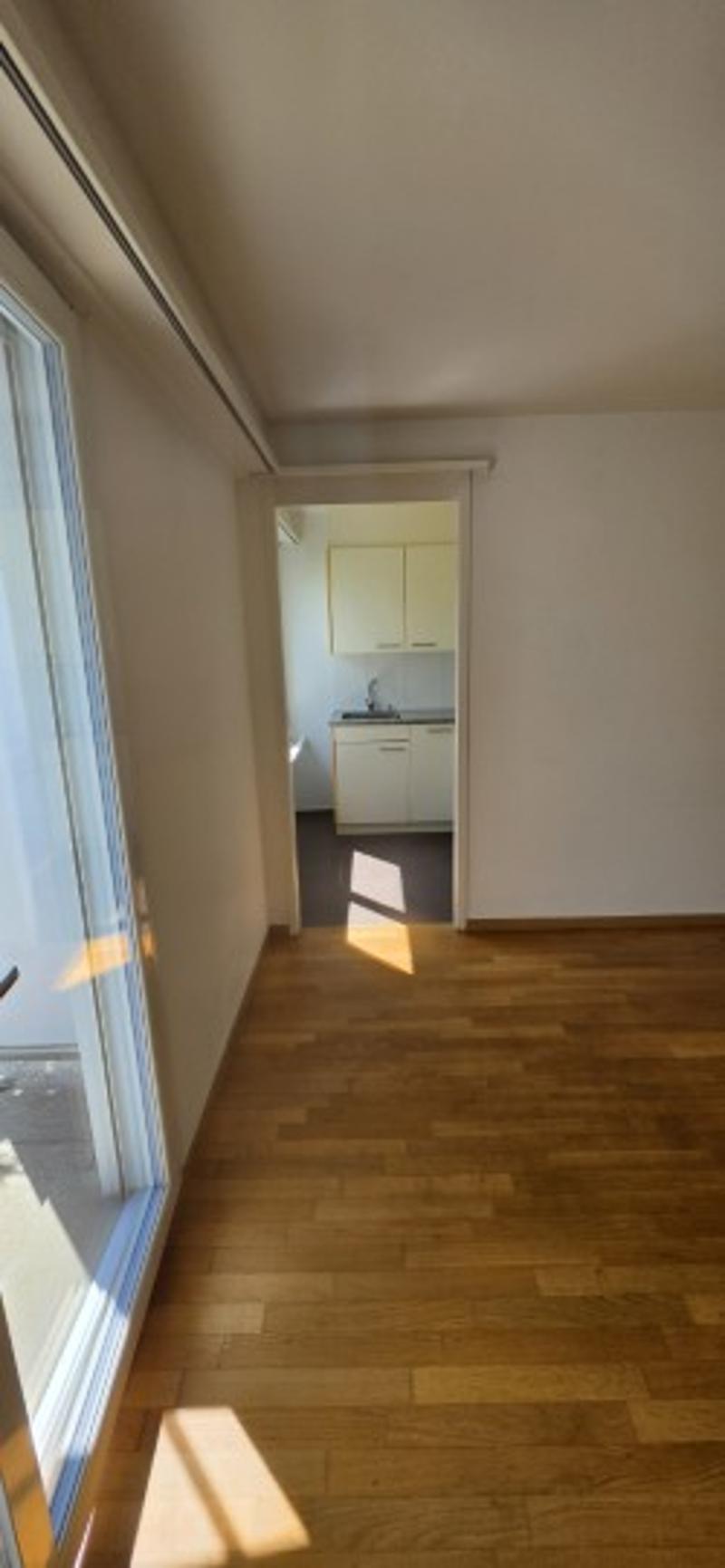 Temporary 1-room apartment (4)