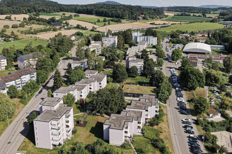 Befristete 3.5-Zimmerwohnung im Grünen (1)