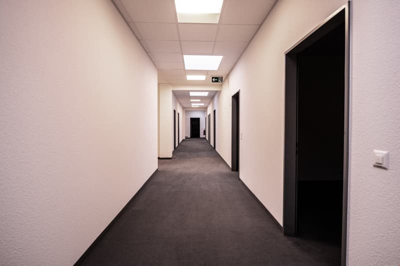 image/jpeg