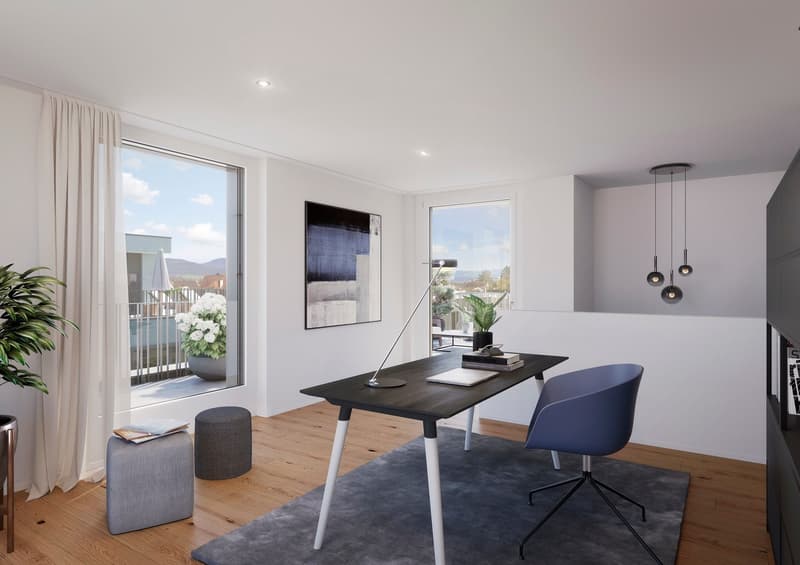 modern office with desk, chair, lamp, books, plants, rug, balcony with view