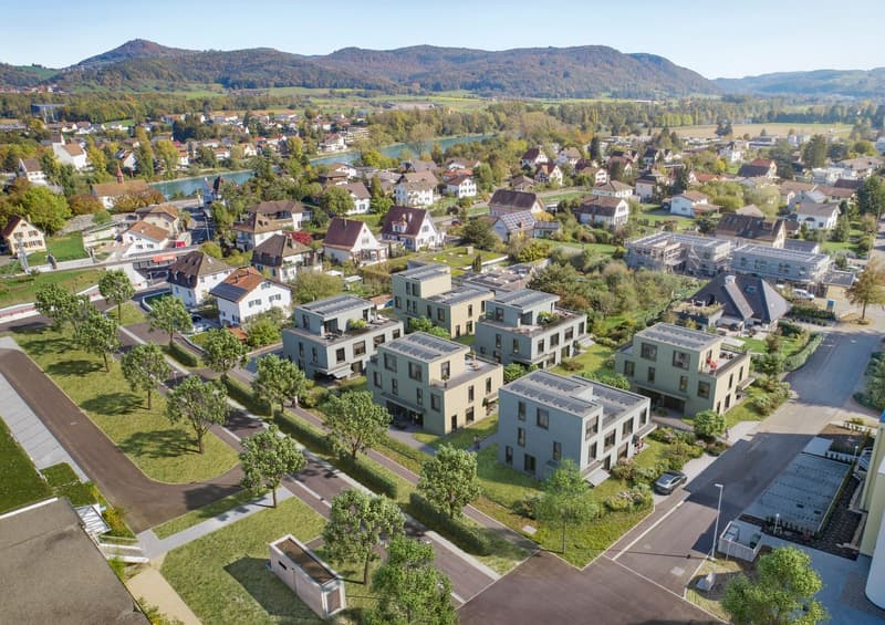 Aerial view of a residential area with several modern houses, solar panels on roofs, green spaces, and a road.