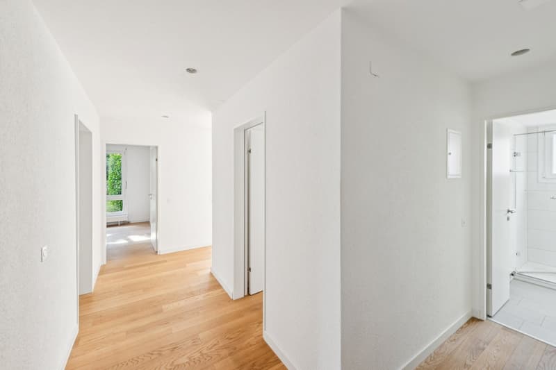 Empty hallway with white walls, wooden floor, doors, and a shower room