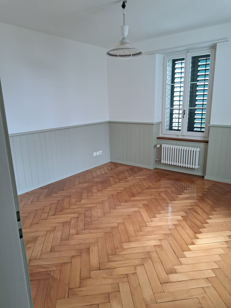 Zweifamilienhaus mit Charakter in ruhiger Wohngegend (11)