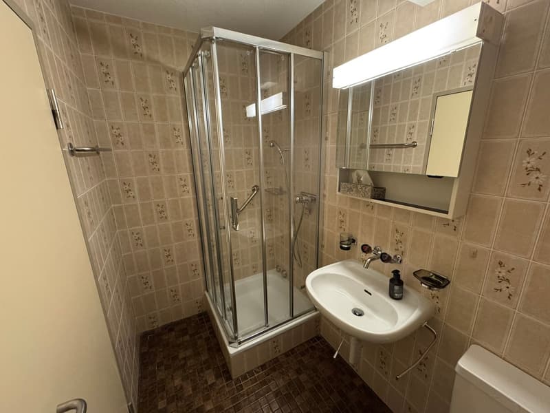 Central 4.5-room apartment in Wettingen with plenty of light and views (6)