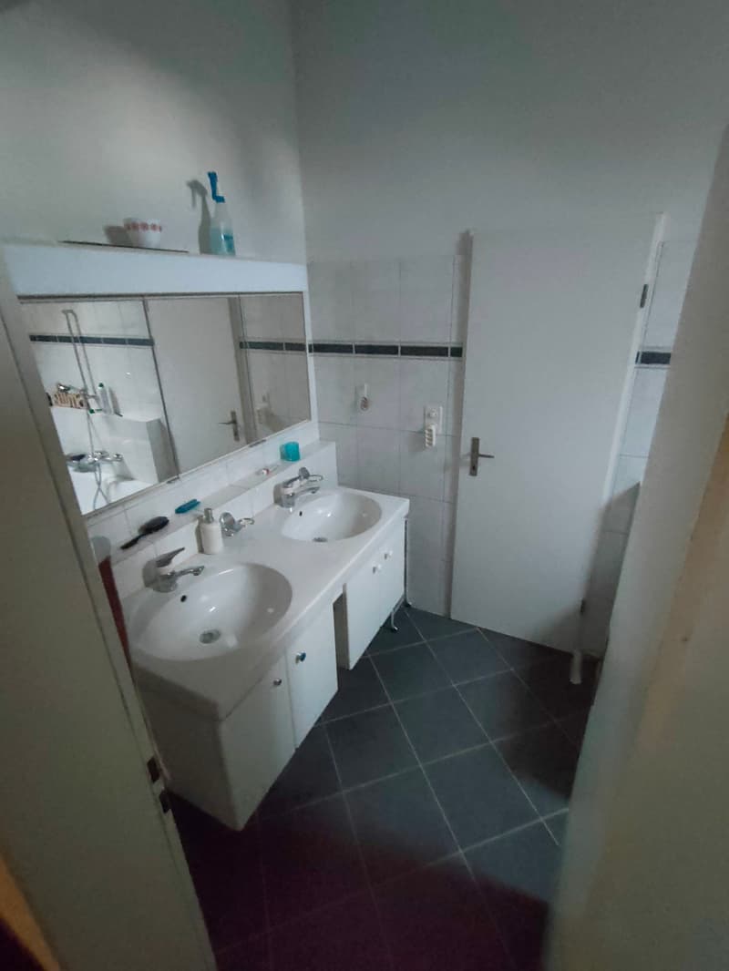 Appartamento mansardato luminoso nel pittoresco centro del villaggio (attualmente in ristrutturazione) (7)