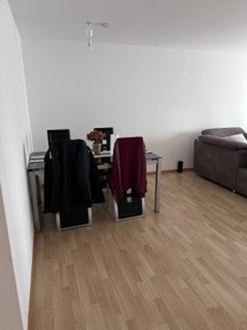 Beautiful 3.5-room apartment in Untersiggenthal (5)